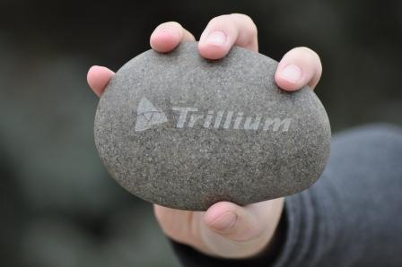 Trillium Rock